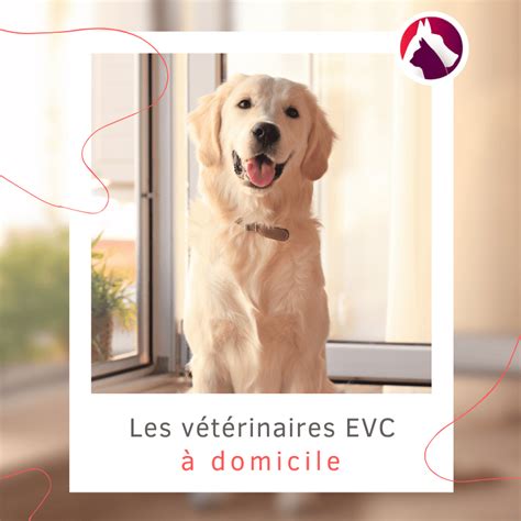 emergency vet|vétérinaire à domicile tarif.